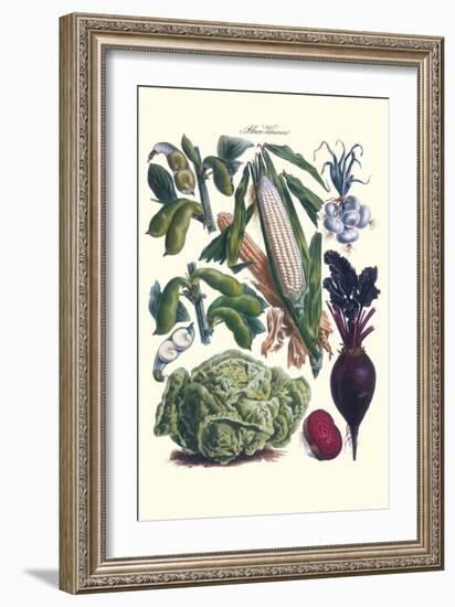 Vegetables; Corn, Cabbage, Beet, Onion, and Beans-Philippe-Victoire Leveque de Vilmorin-Framed Art Print