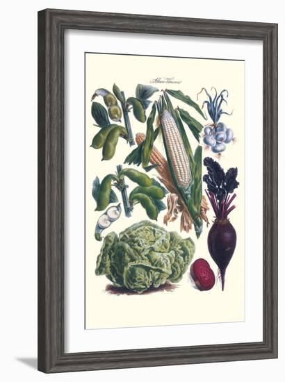 Vegetables; Corn, Cabbage, Beet, Onion, and Beans-Philippe-Victoire Leveque de Vilmorin-Framed Art Print