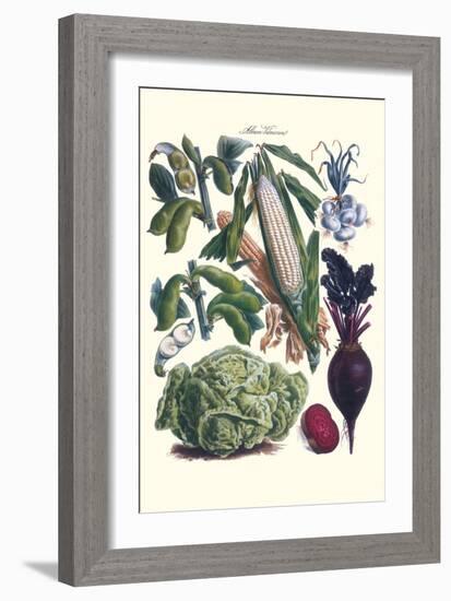 Vegetables; Corn, Cabbage, Beet, Onion, and Beans-Philippe-Victoire Leveque de Vilmorin-Framed Art Print