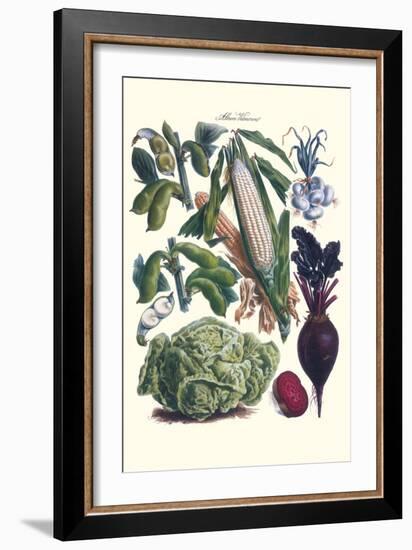 Vegetables; Corn, Cabbage, Beet, Onion, and Beans-Philippe-Victoire Leveque de Vilmorin-Framed Art Print