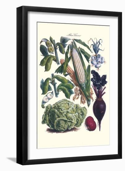 Vegetables; Corn, Cabbage, Beet, Onion, and Beans-Philippe-Victoire Leveque de Vilmorin-Framed Art Print