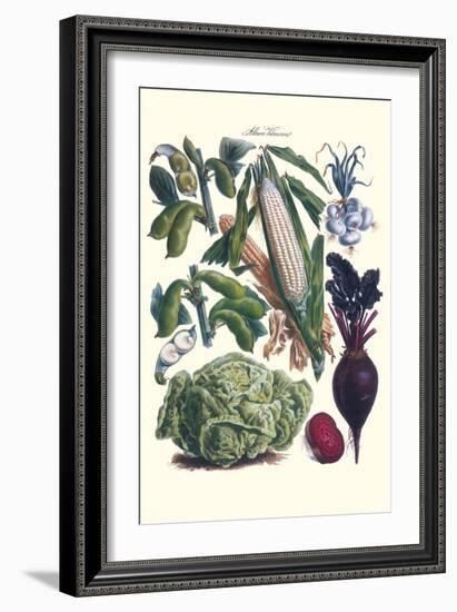 Vegetables; Corn, Cabbage, Beet, Onion, and Beans-Philippe-Victoire Leveque de Vilmorin-Framed Art Print