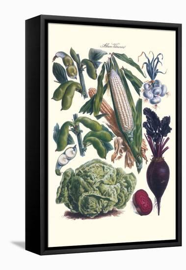 Vegetables; Corn, Cabbage, Beet, Onion, and Beans-Philippe-Victoire Leveque de Vilmorin-Framed Stretched Canvas