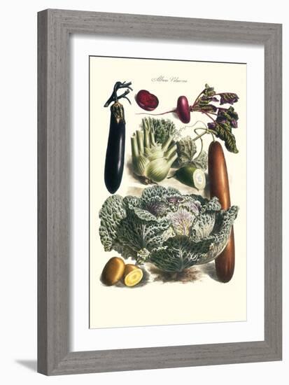 Vegetables; Cucumber, Cabbage, Eggplant, Potato, and Beet-Philippe-Victoire Leveque de Vilmorin-Framed Art Print