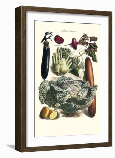 Vegetables; Cucumber, Cabbage, Eggplant, Potato, and Beet-Philippe-Victoire Leveque de Vilmorin-Framed Art Print