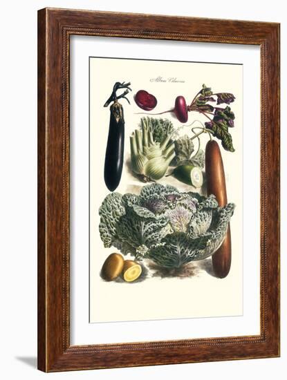 Vegetables; Cucumber, Cabbage, Eggplant, Potato, and Beet-Philippe-Victoire Leveque de Vilmorin-Framed Art Print