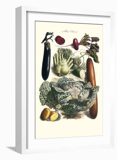 Vegetables; Cucumber, Cabbage, Eggplant, Potato, and Beet-Philippe-Victoire Leveque de Vilmorin-Framed Art Print