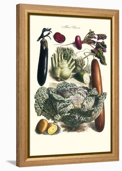 Vegetables; Cucumber, Cabbage, Eggplant, Potato, and Beet-Philippe-Victoire Leveque de Vilmorin-Framed Stretched Canvas