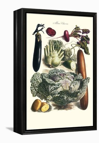 Vegetables; Cucumber, Cabbage, Eggplant, Potato, and Beet-Philippe-Victoire Leveque de Vilmorin-Framed Stretched Canvas