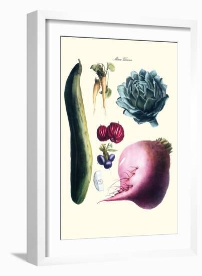 Vegetables; Cucumber, Raddish, Tuber, Artichoke-Philippe-Victoire Leveque de Vilmorin-Framed Art Print