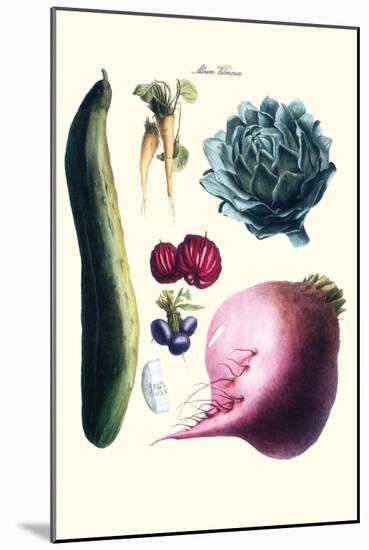 Vegetables; Cucumber, Raddish, Tuber, Artichoke-Philippe-Victoire Leveque de Vilmorin-Mounted Art Print