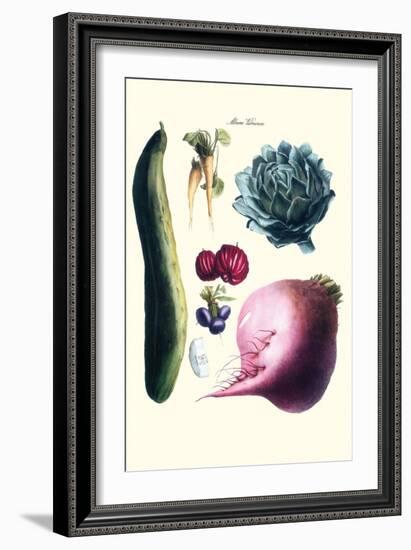 Vegetables; Cucumber, Raddish, Tuber, Artichoke-Philippe-Victoire Leveque de Vilmorin-Framed Art Print