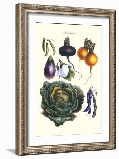 Vegetables; Eggplant, Beans, Cabbage, Turnips-Philippe-Victoire Leveque de Vilmorin-Framed Art Print