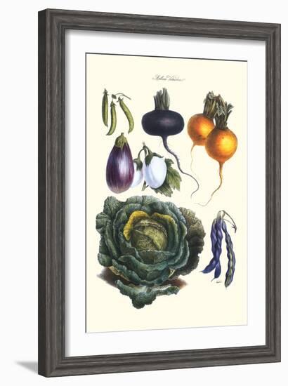 Vegetables; Eggplant, Beans, Cabbage, Turnips-Philippe-Victoire Leveque de Vilmorin-Framed Art Print