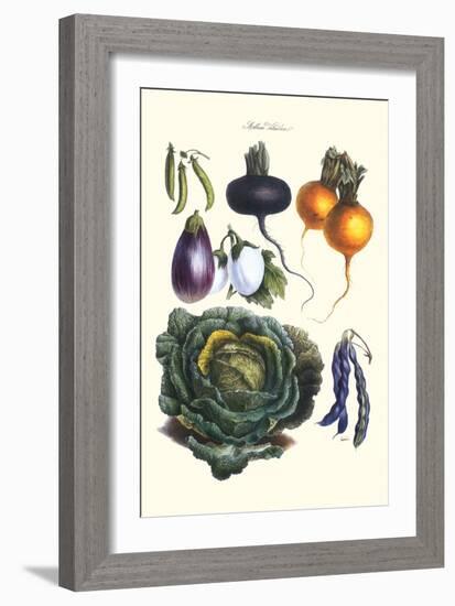 Vegetables; Eggplant, Beans, Cabbage, Turnips-Philippe-Victoire Leveque de Vilmorin-Framed Art Print