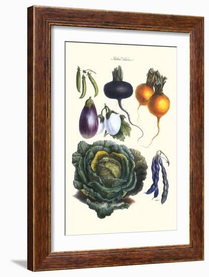 Vegetables; Eggplant, Beans, Cabbage, Turnips-Philippe-Victoire Leveque de Vilmorin-Framed Art Print