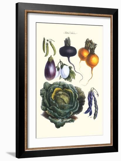 Vegetables; Eggplant, Beans, Cabbage, Turnips-Philippe-Victoire Leveque de Vilmorin-Framed Art Print