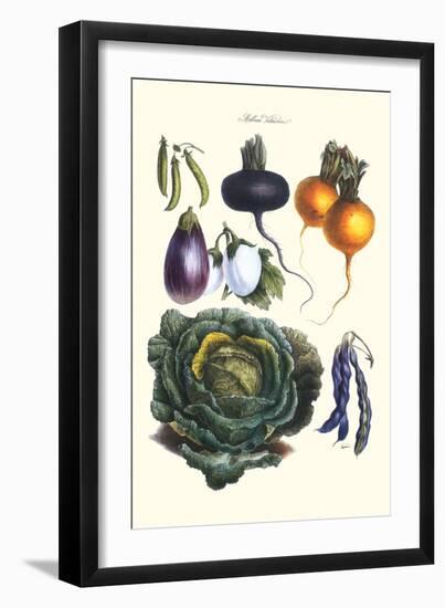 Vegetables; Eggplant, Beans, Cabbage, Turnips-Philippe-Victoire Leveque de Vilmorin-Framed Art Print