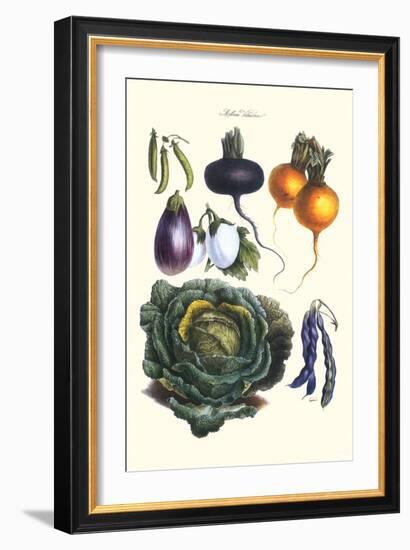 Vegetables; Eggplant, Beans, Cabbage, Turnips-Philippe-Victoire Leveque de Vilmorin-Framed Art Print