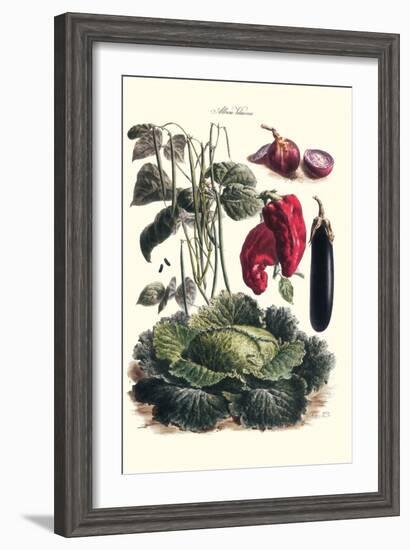 Vegetables; Eggplant, Cabbage, Peppers, Onions, and Beans.-Philippe-Victoire Leveque de Vilmorin-Framed Art Print
