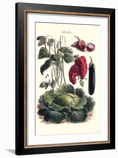 Vegetables; Eggplant, Cabbage, Peppers, Onions, and Beans.-Philippe-Victoire Leveque de Vilmorin-Framed Art Print