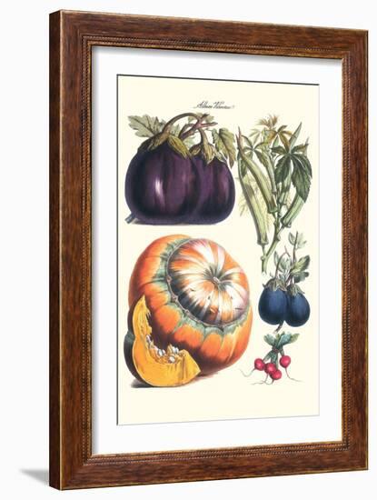 Vegetables; Eggplant, Raddish, Pumpkin, Gourd, Pepper and Okra-Philippe-Victoire Leveque de Vilmorin-Framed Art Print