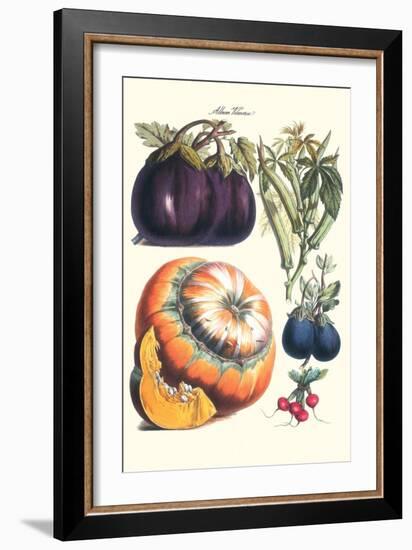 Vegetables; Eggplant, Raddish, Pumpkin, Gourd, Pepper and Okra-Philippe-Victoire Leveque de Vilmorin-Framed Art Print