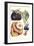 Vegetables; Eggplant, Raddish, Pumpkin, Gourd, Pepper and Okra-Philippe-Victoire Leveque de Vilmorin-Framed Art Print