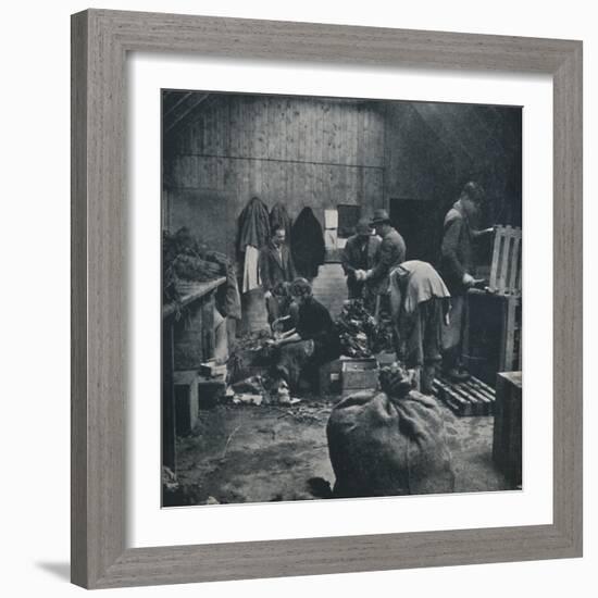 'Vegetables for market', 1941-Cecil Beaton-Framed Photographic Print