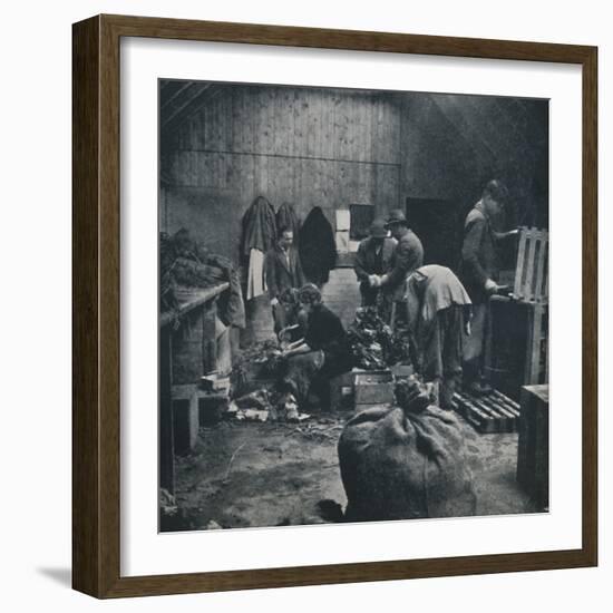 'Vegetables for market', 1941-Cecil Beaton-Framed Photographic Print