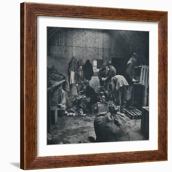 'Vegetables for market', 1941-Cecil Beaton-Framed Photographic Print