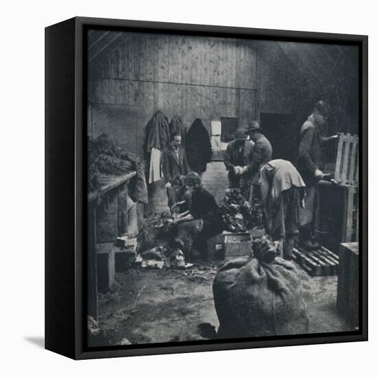 'Vegetables for market', 1941-Cecil Beaton-Framed Stretched Canvas