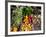 Vegetables for Sale in Souk, Marrakesh, Morocco-null-Framed Photographic Print