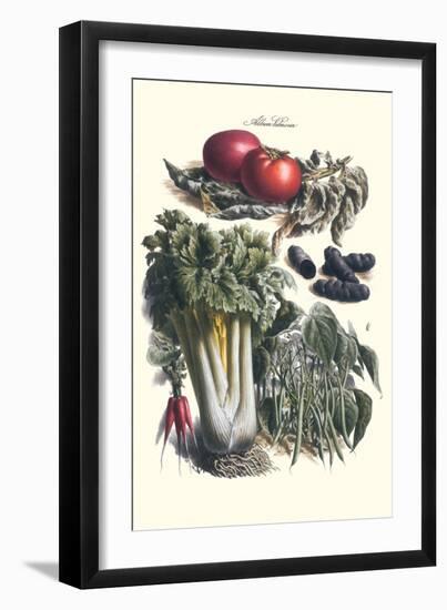Vegetables; Green Beans, Purple Sweet Potato, and Tomato-Philippe-Victoire Leveque de Vilmorin-Framed Art Print