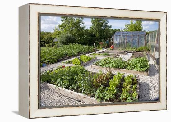 Vegetables Growing in Raised Beds on Garden Plot-null-Framed Premier Image Canvas