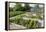 Vegetables Growing in Raised Beds on Garden Plot-null-Framed Premier Image Canvas