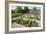 Vegetables Growing in Raised Beds on Garden Plot-null-Framed Photographic Print