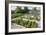 Vegetables Growing in Raised Beds on Garden Plot-null-Framed Photographic Print