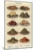 Vegetables, Isabella Beeton, UK-null-Mounted Giclee Print