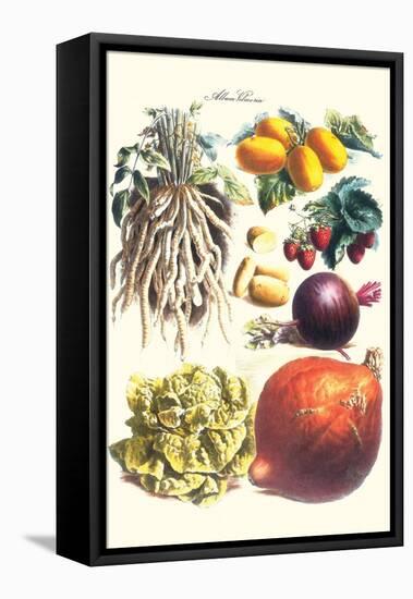 Vegetables; Lettuce, Persimmon, Turnip, Potato, Pumpkin, Strawberries, and Legumes-Philippe-Victoire Leveque de Vilmorin-Framed Stretched Canvas
