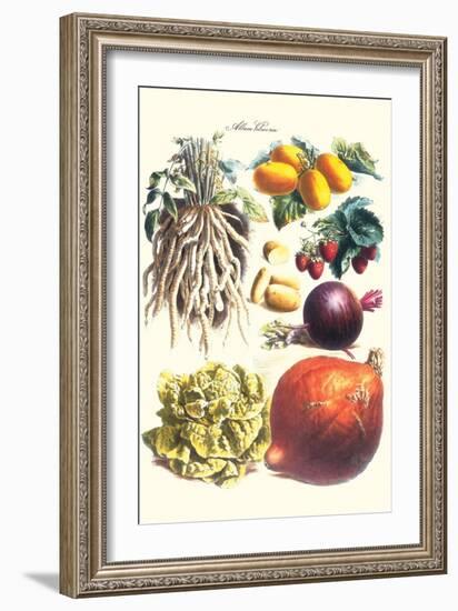 Vegetables; Lettuce, Persimmon, Turnip, Potato, Pumpkin, Strawberries, and Legumes-Philippe-Victoire Leveque de Vilmorin-Framed Art Print