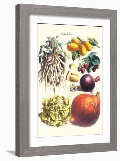 Vegetables; Lettuce, Persimmon, Turnip, Potato, Pumpkin, Strawberries, and Legumes-Philippe-Victoire Leveque de Vilmorin-Framed Art Print