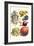 Vegetables; Lettuce, Persimmon, Turnip, Potato, Pumpkin, Strawberries, and Legumes-Philippe-Victoire Leveque de Vilmorin-Framed Art Print