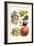 Vegetables; Lettuce, Persimmon, Turnip, Potato, Pumpkin, Strawberries, and Legumes-Philippe-Victoire Leveque de Vilmorin-Framed Art Print