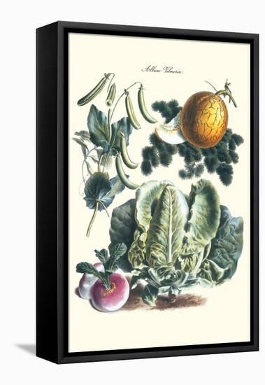 Vegetables; Melon, Lettuce, Green Beans, and Turnips-Philippe-Victoire Leveque de Vilmorin-Framed Stretched Canvas