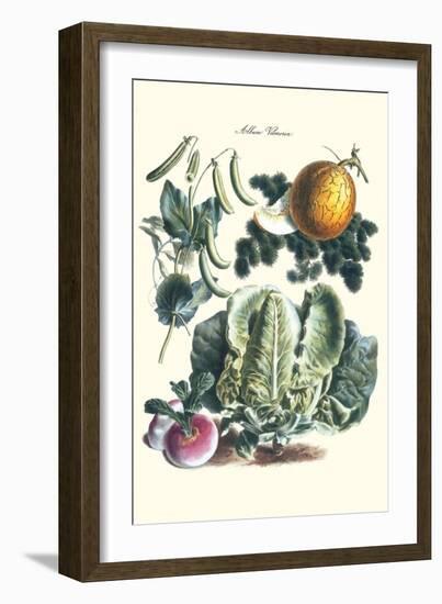 Vegetables; Melon, Lettuce, Green Beans, and Turnips-Philippe-Victoire Leveque de Vilmorin-Framed Art Print