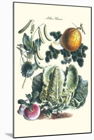 Vegetables; Melon, Lettuce, Green Beans, and Turnips-Philippe-Victoire Leveque de Vilmorin-Mounted Art Print