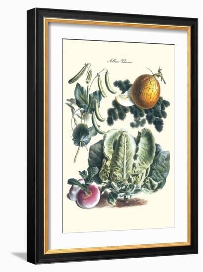 Vegetables; Melon, Lettuce, Green Beans, and Turnips-Philippe-Victoire Leveque de Vilmorin-Framed Art Print