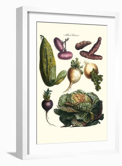 Vegetables; Melon, Onion, Cabbage, Potato, Raddish-Philippe-Victoire Leveque de Vilmorin-Framed Art Print