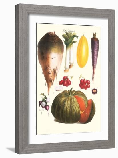 Vegetables: Melon, Purple Carrot, Cherry Tomatoes, Onions, Turnip, Leek-Philippe-Victoire Leveque de Vilmorin-Framed Art Print